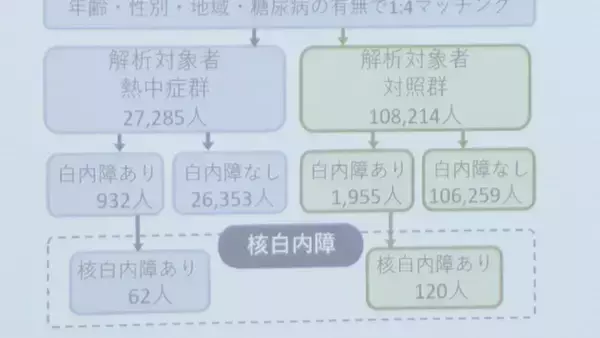 「白内障リスク 熱中症になった人は“2倍”に ｢目のレンズ温度上昇→タンパク質変性→修復できず｣ 研究で明らかに 名古屋工業大学･金沢医科大学」の画像