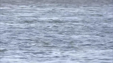 ｢釣り人が流されて浮いてこない｣ アユ釣り中の男性が川に流され… 約30分後に下流で見つかる 岐阜･関市の長良川