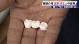 「“入れ歯難民”に？減り続ける歯科技工士 現役の約半数が50歳以上 デジタル普及しても…かみ合わせはやっぱり“人間の手”」の画像17