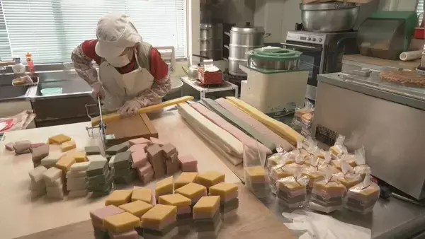 「ひと月遅れで｢ひな祭り｣祝う 飛騨地方の名物“5色のひし餅”づくり最盛期 高齢化などで今は1人で製造 色で季節の移り変わりを表現」の画像