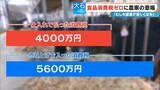 「“食品消費税ゼロ”に農家が悲鳴 ｢むしろ経営が苦しくなる｣ なぜ？自民党のキーマンを直撃すると…」の画像8