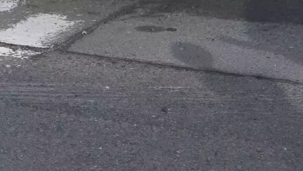 「軽乗用車どうしが出合い頭に衝突 27歳男性が意識不明 助手席の21歳男性は胸骨折の大けが 愛知･あま市の信号交差点」の画像