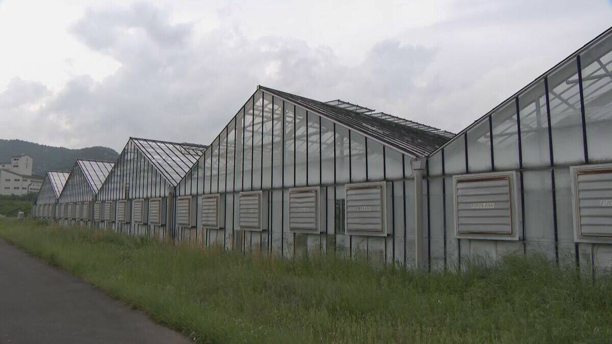 中南米原産のアボカドを岐阜で!? ｢温暖化を逆手にとって」高校生たちが試験栽培 スタートから約5年… 目指せ“岐阜の特産品”