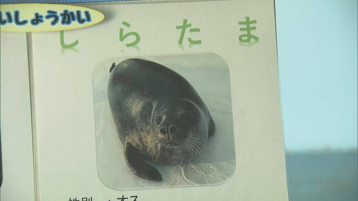“1年でいちばん混む”こどもの日の動物園 ライオンの食事風景は｢迫力ある｣ 一方キッチンカーには中東情勢の影響が ｢のんほいパーク｣ 愛知・豊橋市