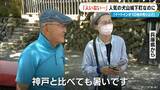 「食べ歩きが人気の愛知･犬山城下町に｢人がいない…｣ 原因は“危険な暑さ” イートインの利用客が｢圧倒的に多い｣」の画像2