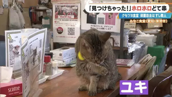 「｢自宅に帰るのは面倒｣ 店で寝泊まりする82歳寿司職人 4か月ぶりに“相棒”復帰！頑固な夫が漏らした本音 愛知･常滑市」の画像