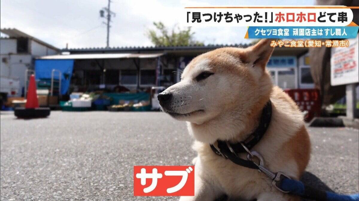 ｢自宅に帰るのは面倒｣ 店で寝泊まりする82歳寿司職人 4か月ぶりに“相棒”復帰！頑固な夫が漏らした本音 愛知･常滑市
