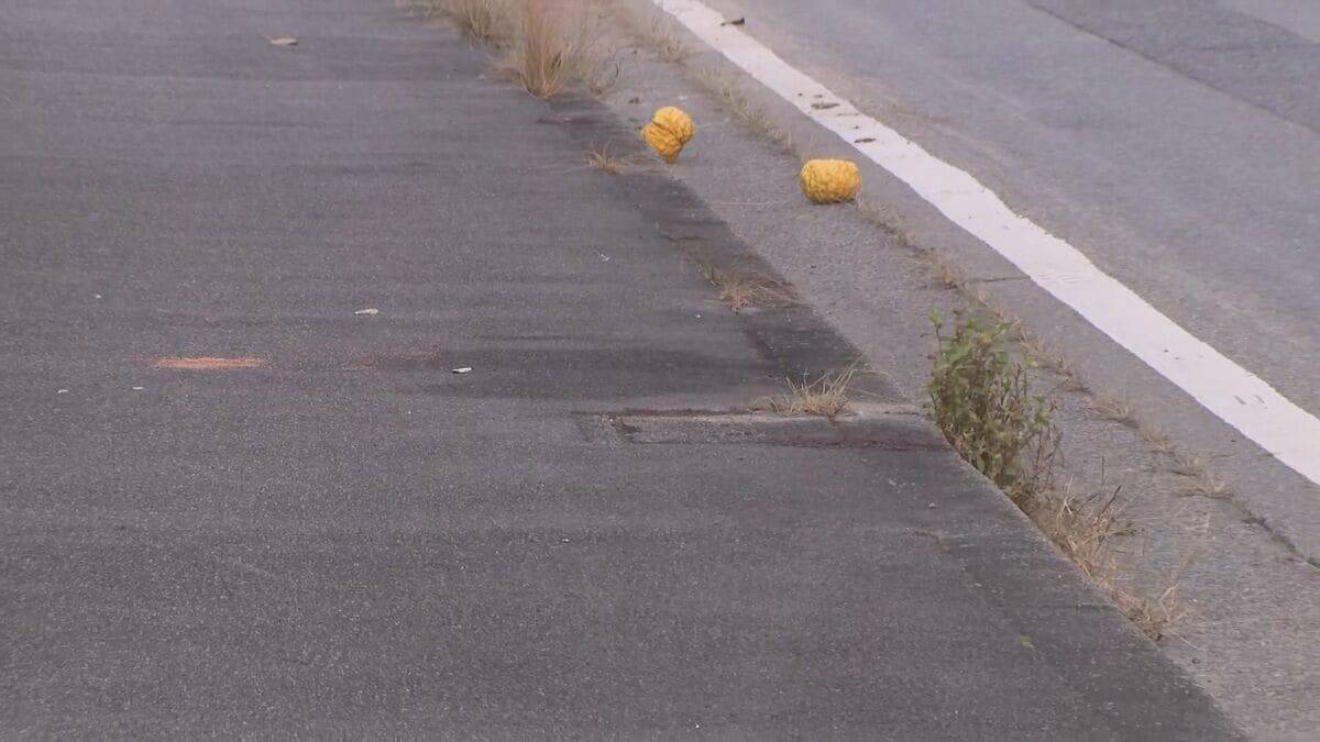 飲酒運転のダンプカーにはねられ自転車の男性死亡 32歳男を逮捕 ｢飲酒運転していたのは間違いない｣ 愛知