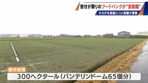 「｢3日前から米が一粒もなくなって…｣ 寄付が頼りのフードバング 物資は年々減り3割減… 広がる貧困を米高騰が直撃」の画像