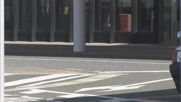 「病院敷地内のロータリーで倒れていたイラン国籍の41歳男性死亡 発見された当時すでに心肺停止の状態か 愛知県警豊川署」の画像