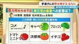「【深刻】宇連ダムの貯水量 去年も今年も｢9月｣に激減…愛知･豊川用水で節水強化 この先どうなる？」の画像4