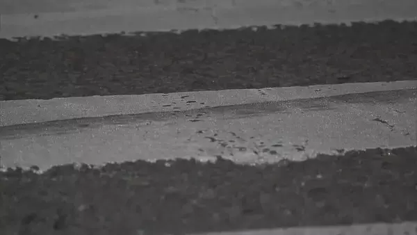 飲酒運転で信号無視か…乗用車運転の男（22）を逮捕　「飲酒状態であったことは間違いない」 軽ワゴン車と衝突し相手の運転手は死亡　