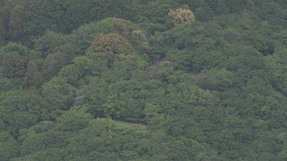 住宅や中学校近くで｢ツキノワグマ｣捕獲 ワナが外れる危険性もあり銃で殺処分 オス･体長95センチ 目撃情報なし 岐阜･大垣市
