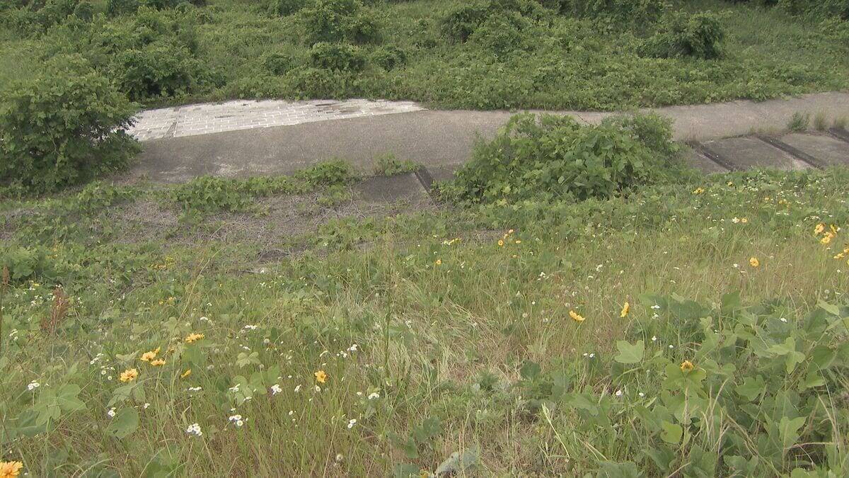 河川敷で見つかった男性遺体は63歳の男性と判明　警察は事件性なしと判断　愛知・江南市