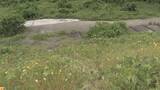 「河川敷で見つかった男性遺体は63歳の男性と判明　警察は事件性なしと判断　愛知・江南市」の画像2