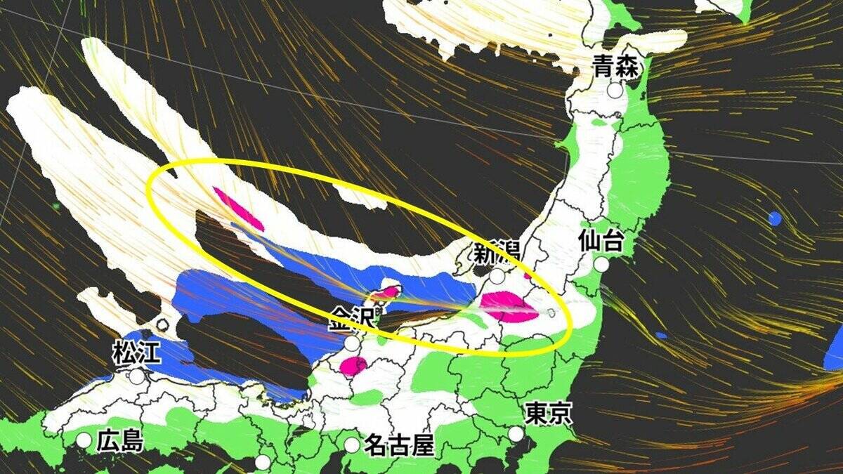 3連休は名古屋でも｢雪｣ “強烈寒波襲来”で日本海側を中心に大荒れ 24時間予想降雪量は東北地方で100cm･北陸地方で70cm 最新の雪シミュレーション【大雪情報・気象庁】