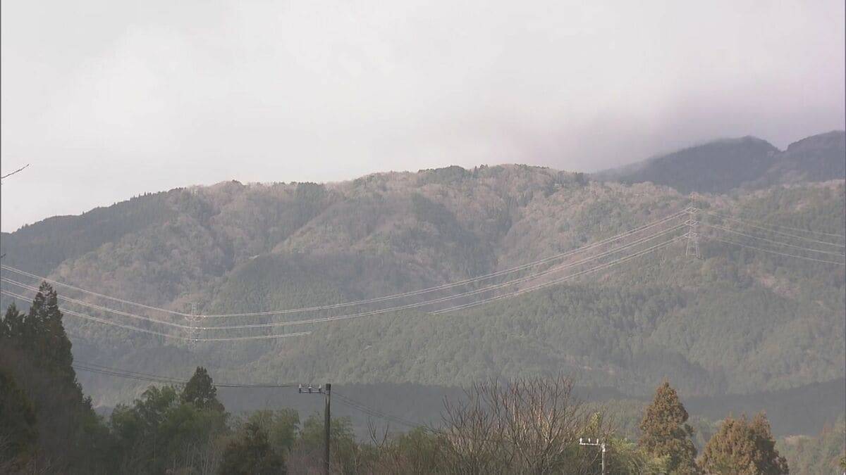 煙のように舞い上がる…“スギ花粉”がピーク 滋賀･岐阜から名古屋方面にやってくる スギ林で調査