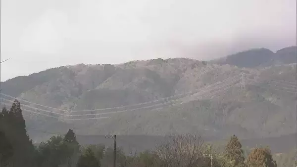 「煙のように舞い上がる…“スギ花粉”がピーク 滋賀･岐阜から名古屋方面にやってくる スギ林で調査」の画像