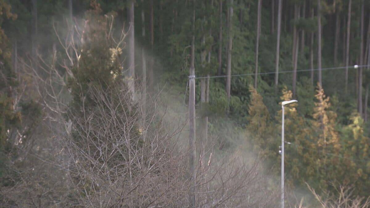 煙のように舞い上がる…“スギ花粉”がピーク 滋賀･岐阜から名古屋方面にやってくる スギ林で調査