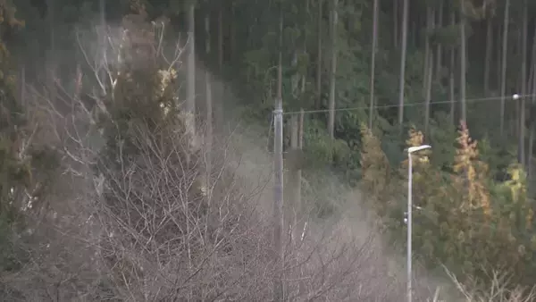 「煙のように舞い上がる…“スギ花粉”がピーク 滋賀･岐阜から名古屋方面にやってくる スギ林で調査」の画像