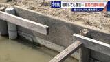 「すぐに復活 駆除は極めて困難 “地球最悪”の侵略植物 田植えはしたけれど…｢黄色い花｣と｢白い花｣の群生に注意を！」の画像11