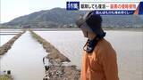 「すぐに復活 駆除は極めて困難 “地球最悪”の侵略植物 田植えはしたけれど…｢黄色い花｣と｢白い花｣の群生に注意を！」の画像12