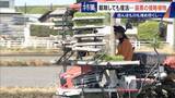 「すぐに復活 駆除は極めて困難 “地球最悪”の侵略植物 田植えはしたけれど…｢黄色い花｣と｢白い花｣の群生に注意を！」の画像13