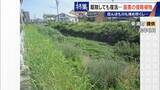 「すぐに復活 駆除は極めて困難 “地球最悪”の侵略植物 田植えはしたけれど…｢黄色い花｣と｢白い花｣の群生に注意を！」の画像15