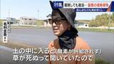 「すぐに復活 駆除は極めて困難 “地球最悪”の侵略植物 田植えはしたけれど…｢黄色い花｣と｢白い花｣の群生に注意を！」の画像7