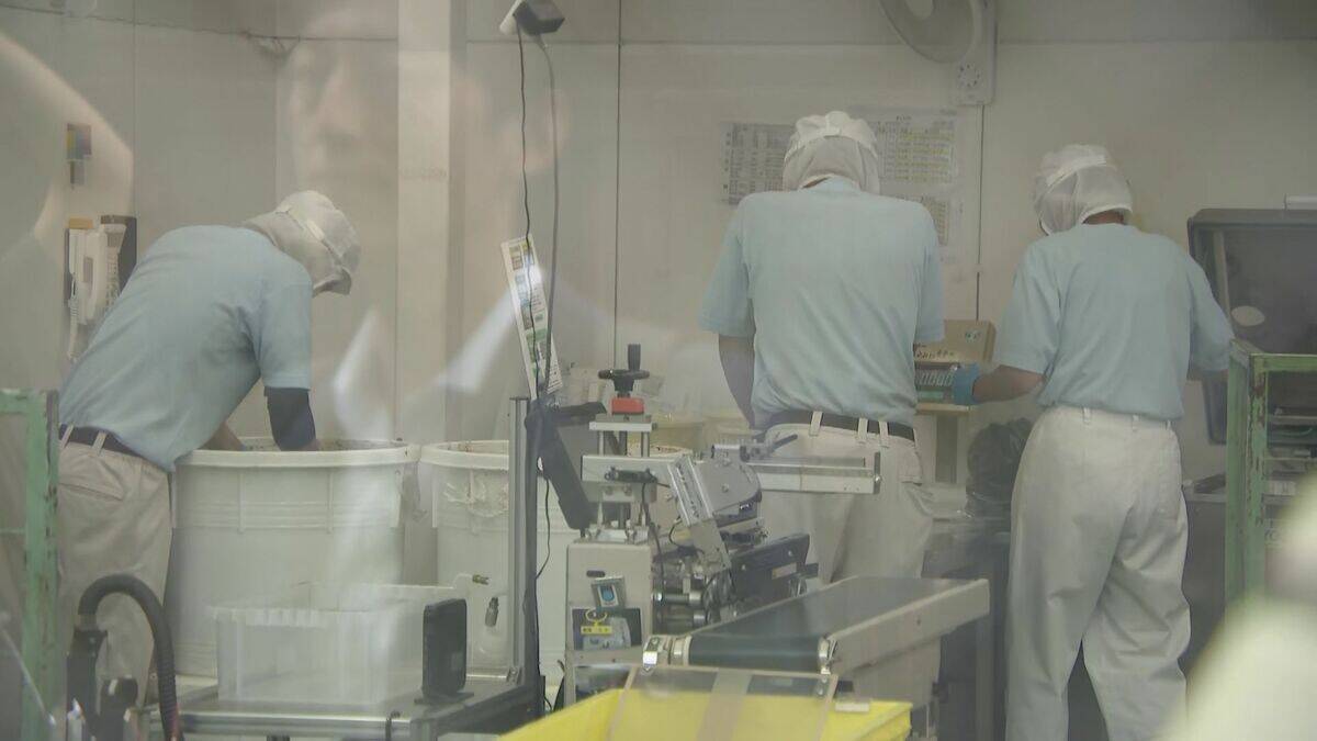 愛知の味噌に“7人のシェフ”が感動 アジア大会の選手メニューに｢なごやめし｣を “発酵調味料”どう生かす？