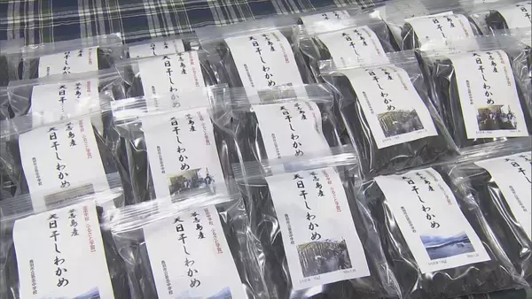 「｢愛情込めて育てた｣ 中学生がワカメの種付け･加工から販売まで体験 約40年前から続く“地元の味”広める取り組み  三重･答志島」の画像