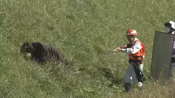 クマ出没に備え｢緊急銃猟｣訓練 市や警察･猟友会など約100人が参加 住民への呼びかけや交通規制など手順確認 岐阜･中津川市