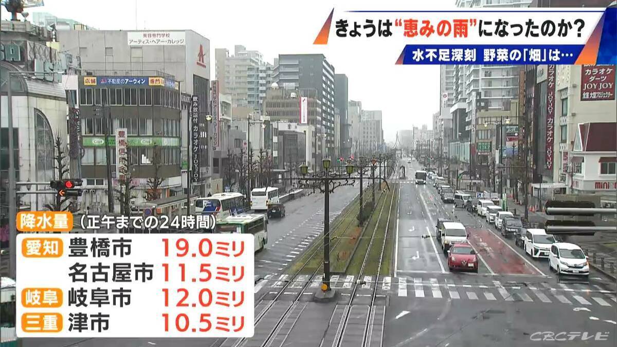 水不足深刻 久しぶりの雨は“恵みの雨”になった？豊川用水の節水続く農家 ｢作物的にはもうちょっと雨欲しかった」