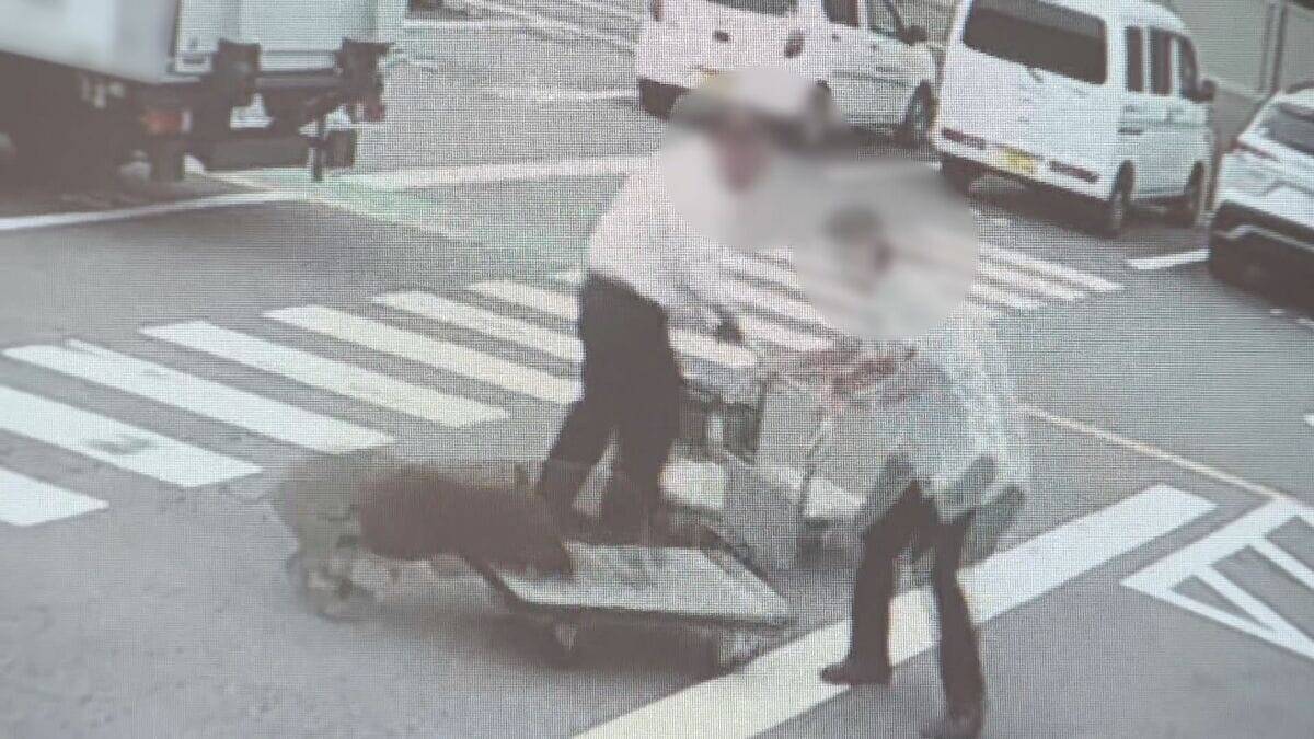 ｢犬かと思ったらイノシシだった｣ 執拗に襲い続け…男性4人を次々と 専門家も驚き｢人を食べ物とは認識していない｣ 愛知･豊田市