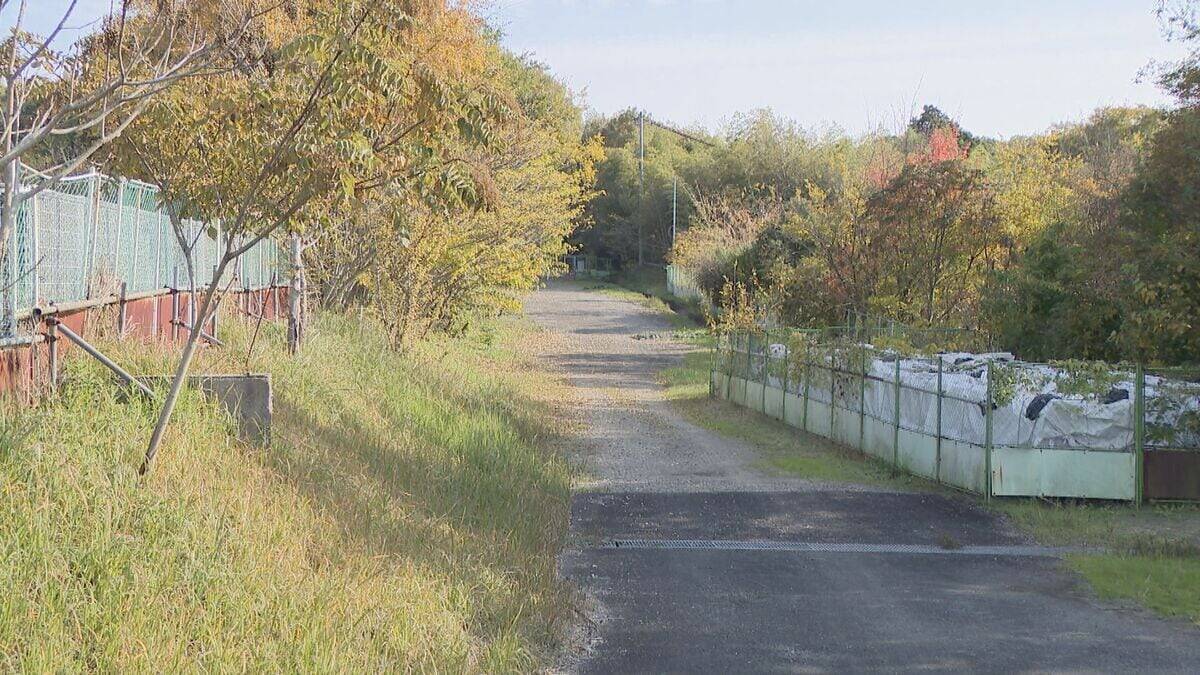 “未完成道路” 工事再開に市民団体｢撤回求める｣ 名古屋・広沢一郎市長の方針に反発 希少なヒメボタルの生息地で工事中止の弥富相生山線