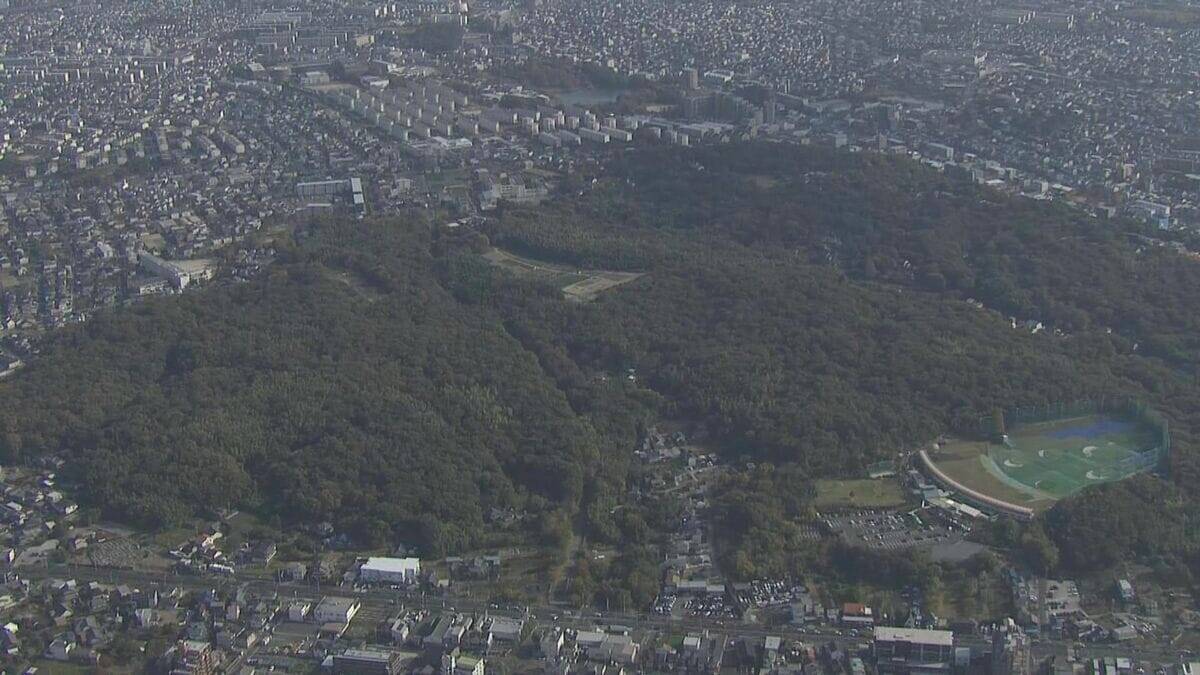 “未完成道路” 工事再開に市民団体｢撤回求める｣ 名古屋・広沢一郎市長の方針に反発 希少なヒメボタルの生息地で工事中止の弥富相生山線