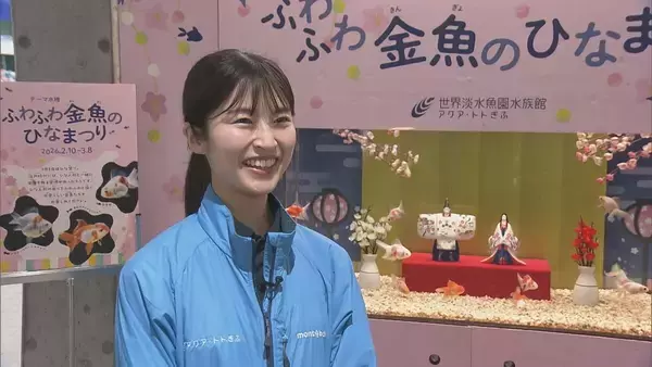 「ひな人形の横を金魚が…人形のまわりに金魚を飾る江戸時代の風習にちなんで  岐阜・各務原市 アクア・トトぎふで3月8日まで」の画像