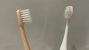 歯ブラシには細菌がいっぱい！使い方次第では“便器ブラシ”状態に… 細菌の増殖やインフル感染リスクも高めるNG行為とは