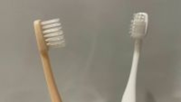歯ブラシには細菌がいっぱい！使い方次第では“便器ブラシ”状態に… 細菌の増殖やインフル感染リスクも高めるNG行為とは