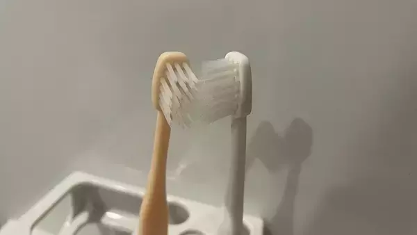 「歯ブラシには細菌がいっぱい！使い方次第では“便器ブラシ”状態に… 細菌の増殖やインフル感染リスクも高めるNG行為とは」の画像