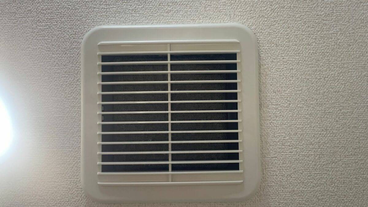 歯ブラシには細菌がいっぱい！使い方次第では“便器ブラシ”状態に… 細菌の増殖やインフル感染リスクも高めるNG行為とは