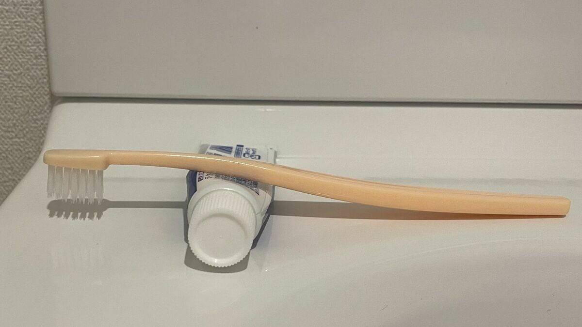 歯ブラシには細菌がいっぱい！使い方次第では“便器ブラシ”状態に… 細菌の増殖やインフル感染リスクも高めるNG行為とは