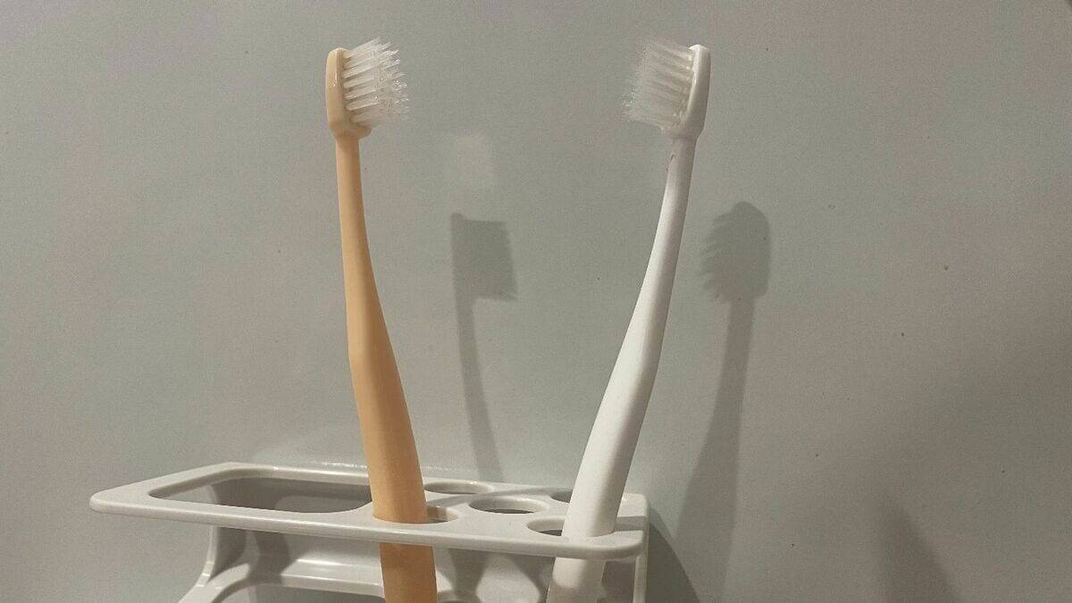 歯ブラシには細菌がいっぱい！使い方次第では“便器ブラシ”状態に… 細菌の増殖やインフル感染リスクも高めるNG行為とは