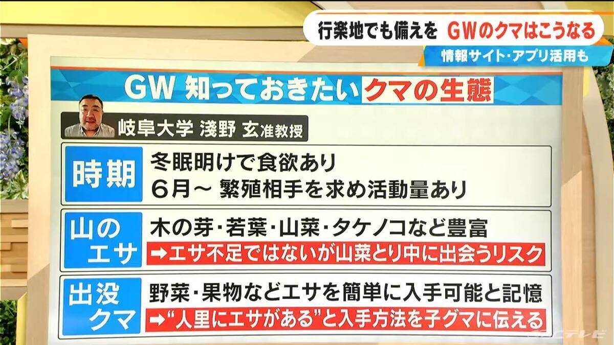 ｢6月以降は繁殖相手を求めて活動活発に｣ 冬眠明けで食欲旺盛のクマ 観光や帰省の際は要注意！愛知･岐阜･三重はどこに出没？対策アプリも