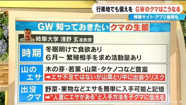 「｢6月以降は繁殖相手を求めて活動活発に｣ 冬眠明けで食欲旺盛のクマ 観光や帰省の際は要注意！愛知･岐阜･三重はどこに出没？対策アプリも」の画像