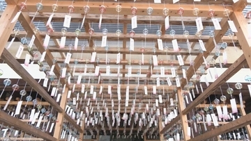 夏に涼しさ届ける｢桜山風鈴まつり｣ 約2000個が澄んだ音色を響かせる きっかけはコロナ禍 岐阜･高山市の新しい風物詩に