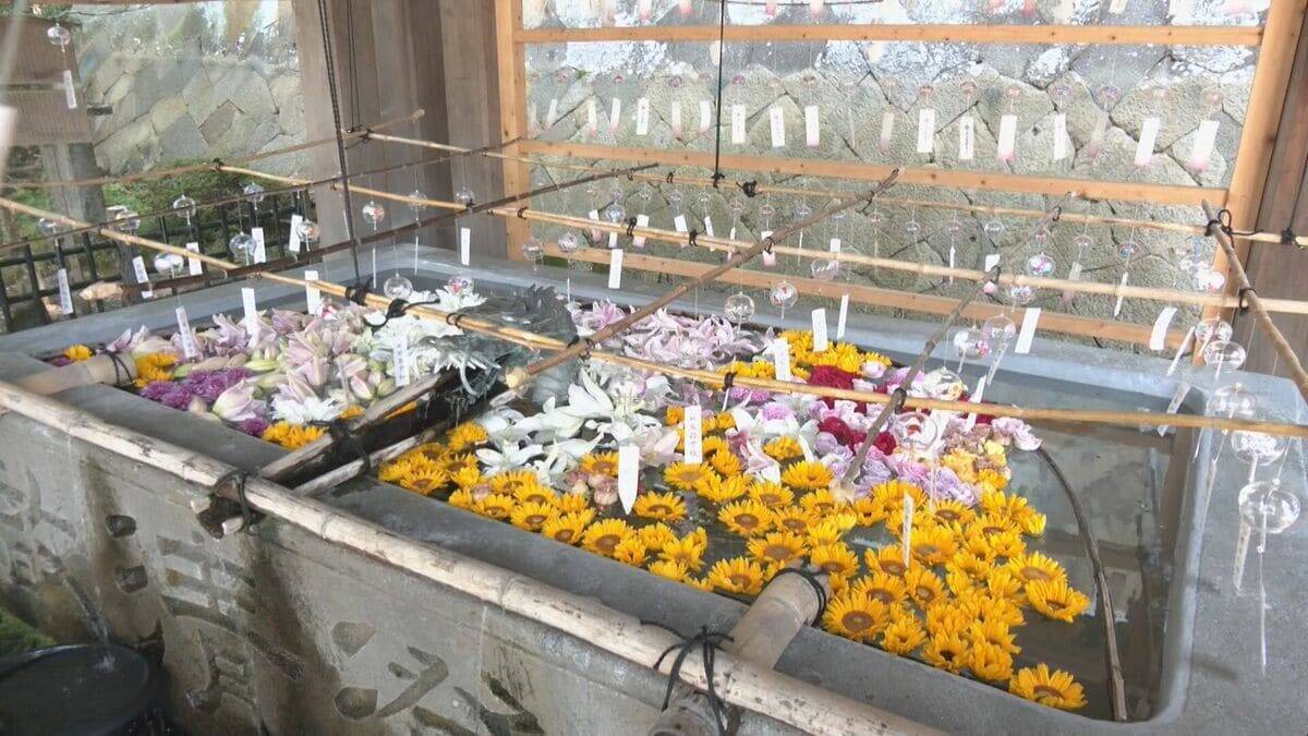 夏に涼しさ届ける｢桜山風鈴まつり｣ 約2000個が澄んだ音色を響かせる きっかけはコロナ禍 岐阜･高山市の新しい風物詩に
