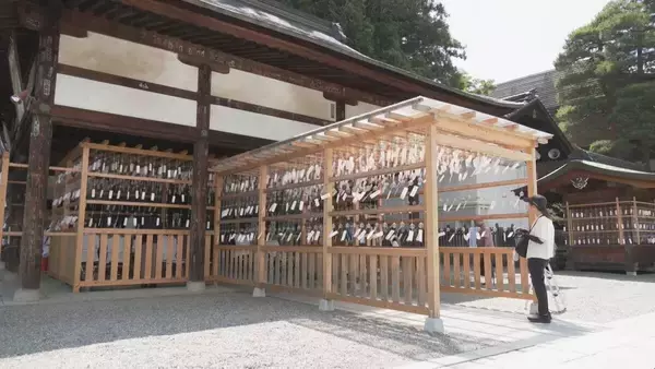 「夏に涼しさ届ける｢桜山風鈴まつり｣ 約2000個が澄んだ音色を響かせる きっかけはコロナ禍 岐阜･高山市の新しい風物詩に」の画像