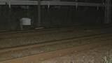 「13歳女子中学生が特急列車にはねられ死亡 名鉄名古屋本線 男川駅～東岡崎駅の間の線路上 愛知・岡崎市」の画像2