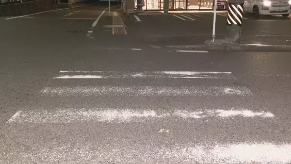 「「大したことはないと思った」…名古屋・南区でひき逃げ　75歳の女を逮捕」の画像